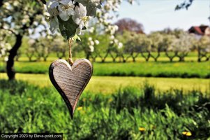 spring-3355416_1280.jpg
